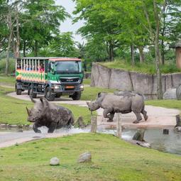 WILDLANDS Adventure Zoo Emmen