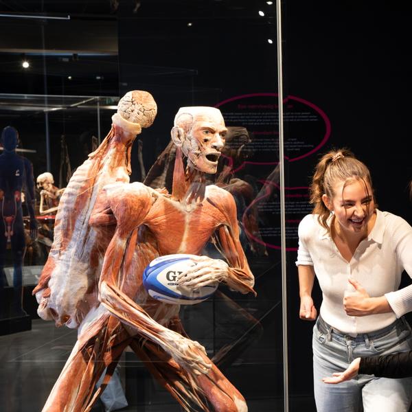Bodyworlds Entree