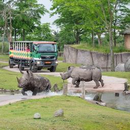 Safaritruck neushoorn