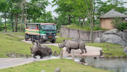WILDLANDS Adventure Zoo Emmen