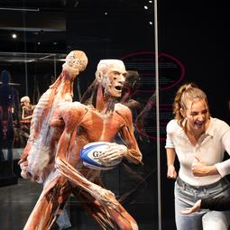 Bodyworlds Entree