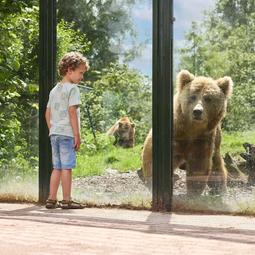 Eindhoven Zoo