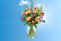 Albert Heijn Bloemen