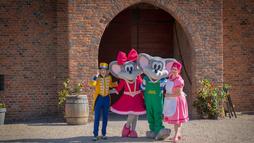 Korting op Kinderpretpark Julianatoren, te gek!
