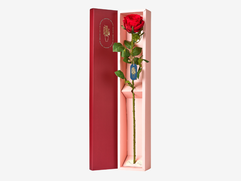 30% Korting (2)