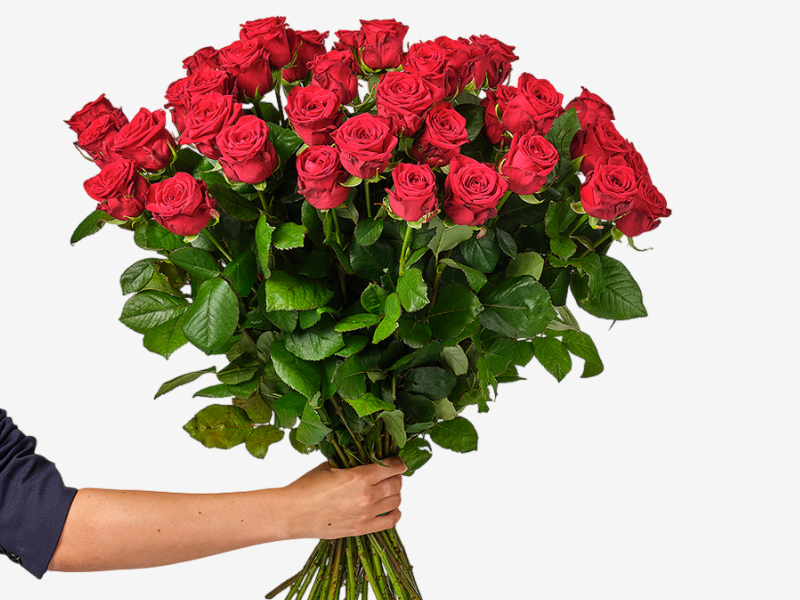 Rozen in hand