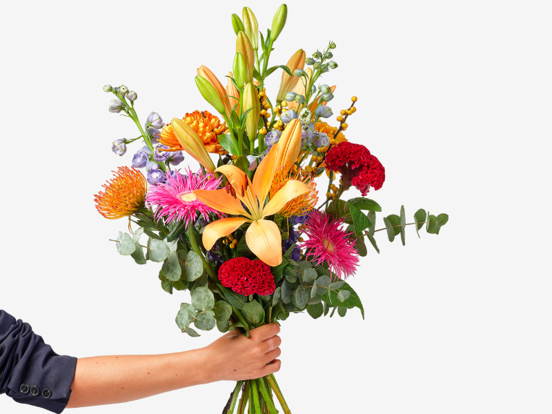 Untitled design - 2026-06-04T110949.572