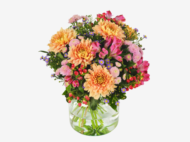 Untitled design - 2026-06-04T111518.252