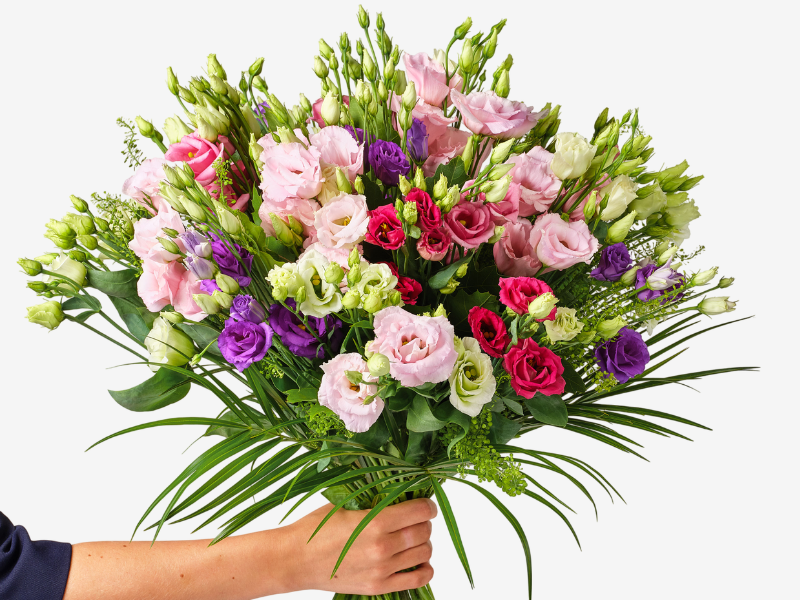 Untitled design - 2026-06-04T111809.631
